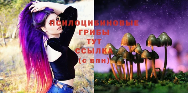 прущие крисы Рославль
