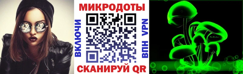 даркнет сайт  Весьегонск  Галлюциногенные грибы MAGIC MUSHROOMS 